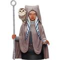 DIAMOND SELECT TOYS - Star Wars Rebels - Ahsoka Tano 1/6 Scale Bust