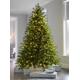 Pre-lit Windsor Fir Multi-Function Christmas Tree with Multi Dual LED Lights