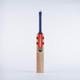 GRAY NICOLLS Hypernova Gen 1.0 Academy Junior English Willow Cricket Bat (1)