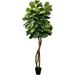 Lush 6 Artificial Fiddle Leaf Fig Tree