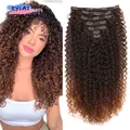 Kinky Curly réinitialisation in Hair Extensions Postiches synthétiques Omber Brown Optics Afro