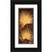 Parks David 10x18 Black Ornate Wood Framed with Double Matting Museum Art Print Titled - Fan Palm Triptych II