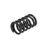 Electric Guitar Tremolo Bridge Spring Tremolo Vibrato Tension Springs Black for Electric Guitar Replacement Part