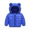 kpoplk Baby Winter Coat Toddler Baby Boys Girls Patterned Zip Up Sweatshirt w/Pocket Long Sleeve Hoodies Lightweight Windbreaker Jacket(Blue)