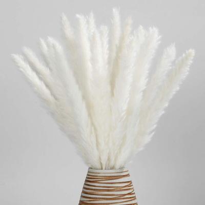 Dried Pampas Grass - Natural, 30 Pieces Reed Grass Feathers, Dried Flower Bouquet for diy Home