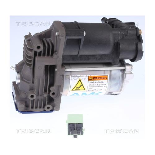 TRISCAN Kompressor Druckluftanlage für BMW 5
