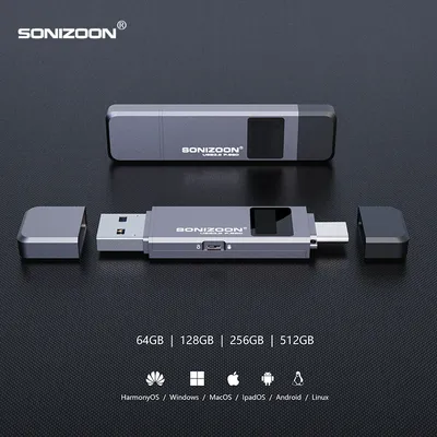 Clé USB portable à semi-conducteurs cryptage d'empreintes digitales clé USB SSD fonction de