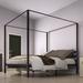 Ebern Designs Kyvin Canopy Bed, Metal in Black | 72 H x 76 W in | Wayfair F0E90825F6F34BF9A777585AB8C9C239