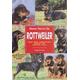 Manual Practico Del Rottweiler Guide to Owning a Rottweiler Animales De Compania Companion Animals Spanish Edition