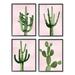 Stupell Industries Bold Pink Desert Cactus Plants Arid Vegetation by Mia Jensen - 4 Piece Floater Frame Graphic Art Set on Canvas Canvas | Wayfair