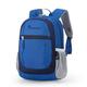 MOUNTAINTOP Kids Toddler Backpack for Boys Girls Preschool Kindergarten Bag, 1-6031-blue, L