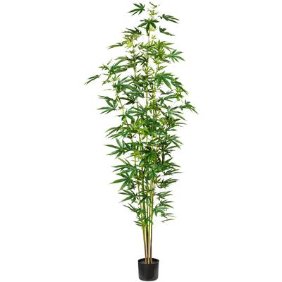 Künstliche Zimmerpflanze CREATIV GREEN "Zierhanfpflanze" Kunstpflanzen Gr. H: 210 cm, 1 St., grün Künstliche Zimmerpflanzen