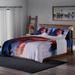 HOMESMART Multi Color Horse Print Pattern Flannel Sherpa Comforter