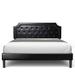 Winston Porter Jashod Bed Frame Low Profile Platform Bed w/ Tufted Faux Headboard Upholstered/Faux in Black | 45 H x 64 W x 85 D in | Wayfair