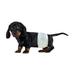 BV Male Dog Wraps Dog Diapers for Male Dogs Disposable Puppy Wraps Small 50 Count