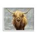 Stupell Industries Distressed Patterned Highland Cattle Giclee Texturized Wall Art By Ziwei Li in Brown/Gray/Yellow | Wayfair aq-742_wfr_11x14