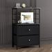 17 Stories 2 Drawer Chest Wood in Black | 34.3 H x 22 W x 12.2 D in | Wayfair C39473AB8D044D799ECAFD0C07803669