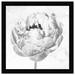 Oliver Gal Peony II - Graphic Art on Canvas Paper in Black/White | 22 H x 22 W x 0.8 D in | Wayfair 47084_20x20_PAPER_FLAT