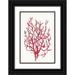 Wilson Aimee 13x18 Black Ornate Wood Framed with Double Matting Museum Art Print Titled - Red Reef Coral I