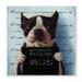 Stupell Industries Funny Boston Terrier Dog Jail Convicted Police Wood Wall Art 12 x 12 Design by Lucia Heffernan