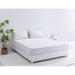 Twin XL Medium 8" Memory Foam Mattress - Alwyn Home Passendale Essential Plus Plush In A Box | 80 H x 38 W 8 D in Wayfair