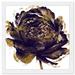 Oliver Gal and Gold Peony - Picture Frame Graphic Art Paper in Black | 22 H x 22 W x 0.8 D in | Wayfair 47120_20x20_PAPER_WHITE