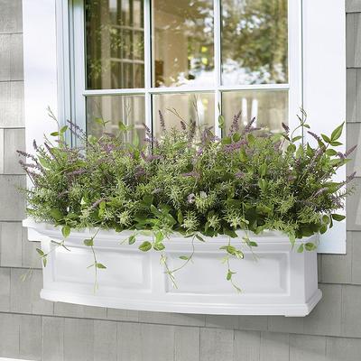 Herbs And Greens Window Box Filler - Grandin Road