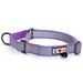 Pawtitas Martingale Dog Collar Puppy Collar Reflective Dog Collar Training Dog Collar Dog Collar Small Dog Collar Orchid Purple Dog Collar