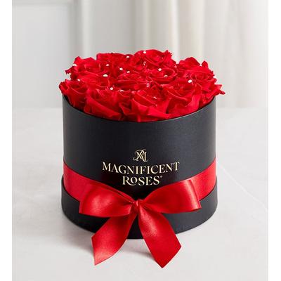 1-800-Flowers Flower Delivery Magnificent Roses Preserved Sparkle Red Roses Sparkle Red Roses One Dozen