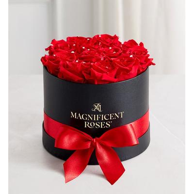 1-800-Flowers Flower Delivery Magnificent Roses Preserved Sparkle Red Roses Magnificent Roses Classic Sparkle Roses