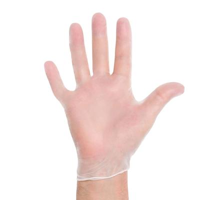 Strong 73012 General Purpose Vinyl Gloves - Powder Free, Small, Clear