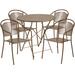 Flash Furniture CO-30RDF-03CHR4-GD-GG 30" Round Folding Patio Table & (4) Round Back Arm Chair Set - Steel, Gold