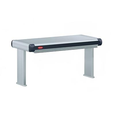 Hatco GR2A-24D6 240 27 1/2" Standard Watt Strip Warmer - Double Rod, Remote Control Required, 240v/1ph, Silver