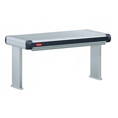 Hatco GR2A-72D6 120 75 1/2" Standard Watt Strip Warmer - Double Rod, Remote Control Required, 120v, Silver