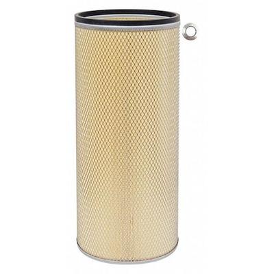 BALDWIN FILTERS PA2563 Air Filter,10-1/4 x 22-1/2 in.