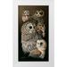 Goebel Wilhelm 9x14 White Modern Wood Framed Museum Art Print Titled - Eyes Of The Night - Owls