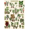 Vintage Houseplant Puzzle 1000 Pieces for Adult, Botany Succulent House Plant Puzzle, 39 Common Indoor Plants Jigsaw Puzzles as Plant Gifts（HD）