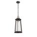 Breakwater Bay Fahmi 1 -Bulb 20.63" H Outdoor Hanging Lantern Glass/Metal/Steel in Brown | 20.63 H x 9.5 W x 9.5 D in | Wayfair
