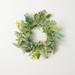 Primrue Artificial Mixed Botanical Wreath in Green | 14.5 H x 14.5 W x 2 D in | Wayfair FCB90AECA5C645F88A77F6156414BC26