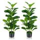 TANGZON 2-Pack Artificial Fiddle Leaf Fig Trees, 90/100/140CM 2PCS Faux Ficus Lyrata with Cement Pot & 32/40/100 Lifelike Leaves, Indoor Outdoor Fake Potted Plants for Home Office Decoration (100CM)