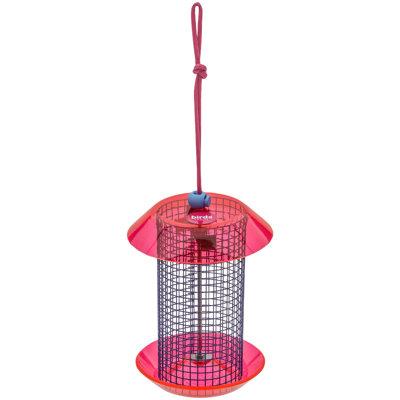 Birds Choice 6.5" Color Pop Collection Small Sunflower Seed Feeder Metal in Blue/Indigo | 6.5 H x 5 W x 5 D in | Wayfair CPFF1-BF