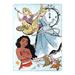 The Northwest Group Disney Princess 46'' x 60'' Silk Touch Throw Blanket