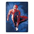 The Northwest Group Spiderman 46'' x 60'' Silk Touch Throw Blanket