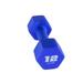 CAP 12lb Neoprene Dumbbell Blue Single