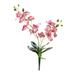 Artificial Silk Phalaenopsis Flowers Artificial Orchid Flowers Stem Plants Fake Butterfly Phalaenopsis Flowers for Home Wedding Party DèŒ…cor