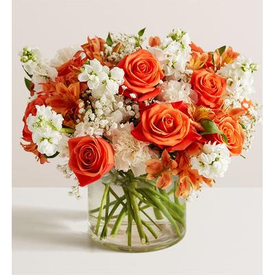 1-800-Flowers Flower Delivery Sweet Citrus Bouquet Xl