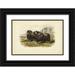 Audubon John James 18x13 Black Ornate Wood Framed with Double Matting Museum Art Print Titled - Musk Ox