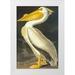 Audubon John James 13x18 White Modern Wood Framed Museum Art Print Titled - American White Pelican