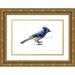 Dean Bruce 32x23 Gold Ornate Wood Framed with Double Matting Museum Art Print Titled - Blue Jay