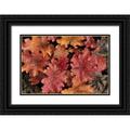 Terrill Steve 32x23 Black Ornate Wood Framed with Double Matting Museum Art Print Titled - OR Portland Foliage of peach flambe heuchera